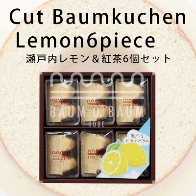 瀬戸内レモン＆紅茶6個セットバウムウントバウム